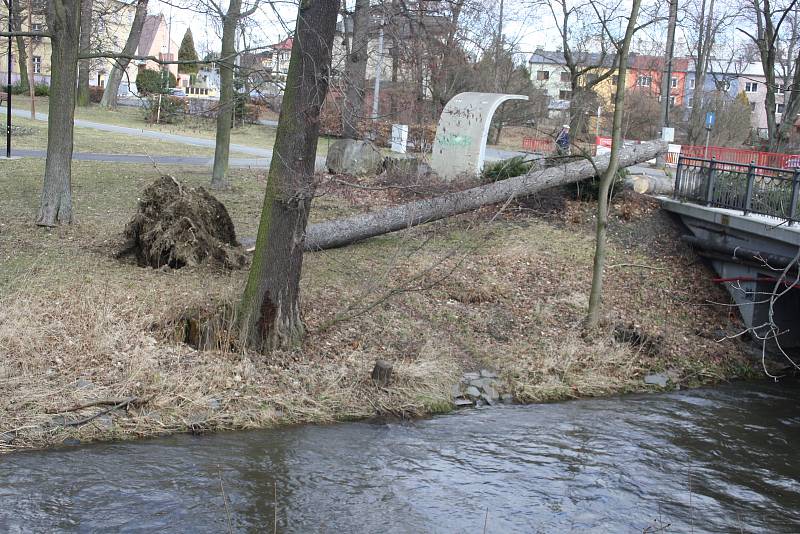 Vítr shazoval elektrické vedení a vyvracel stromy také v Bruntálu. Nejhůř byly zasažený Městský park. Největší lípa se vyvrátila přes plot na hospodu Roští.