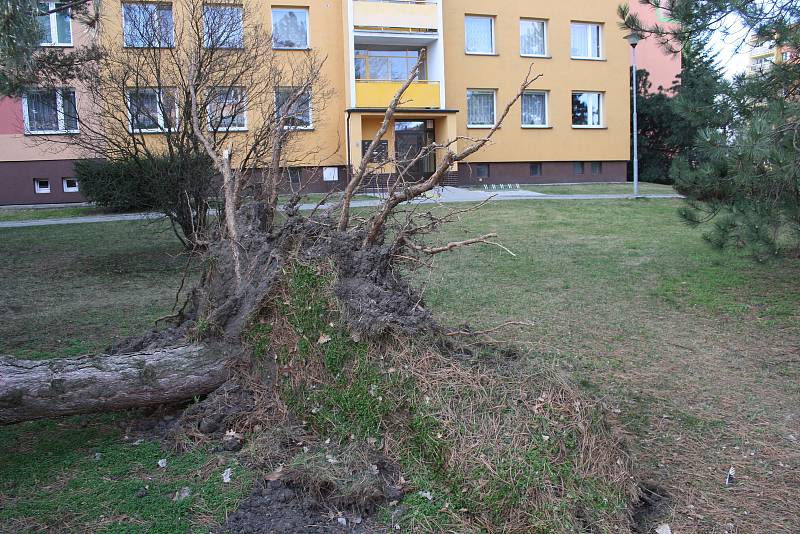 Po noční vichřici zůstaly některé části Krnova bez proudu, například Ježník. Stromy padaly například v Chářovském parku a na sídlišti pod Cvilínem.