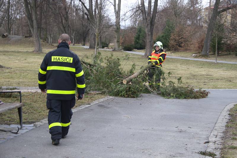 Vítr shazoval elektrické vedení a vyvracel stromy také v Bruntálu. Nejhůř byly zasažený Městský park. Největší lípa se vyvrátila přes plot na hospodu Roští.