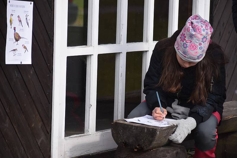 Vítání ptačího zpěvu v Karlově Studánce se zoologem Petrem Šajem.