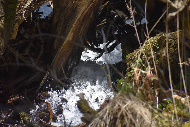 Udělejte si někdy výlet kolem náhonu, který přivádí vodu pro umělý vodopád v Karlově Studánce.