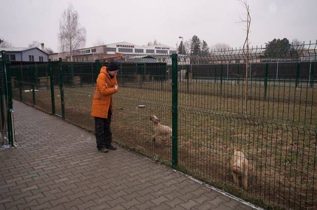 Psí útulek v Kutné Hoře je zajímavý nejen tím, že sem mohou lidé chodit nezávazně navštěvovat pejsky a pomáhat je venčit. Krnovská starostka Alena Krušinová si při návštěvě všimla, že tyto buňky pro útulek byly vyrobeny na Krnovsku firmou STG trade.