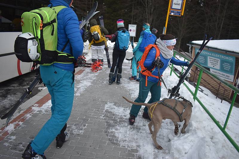 Zimní výstup na Praděd občas připomíná kynologickou přehlídku psích plemen.