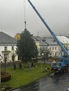 Deštivé dušičkové počasí provázelo instalování vánočního stromu na náměstí ve Městě Albrechticích. 