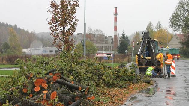 Vykácené stromy okolo silnice z Bruntálu do Meziny musely ustoupit rozšíření silnice, avšak kýžené cyklostezky se lidé nedočkají.