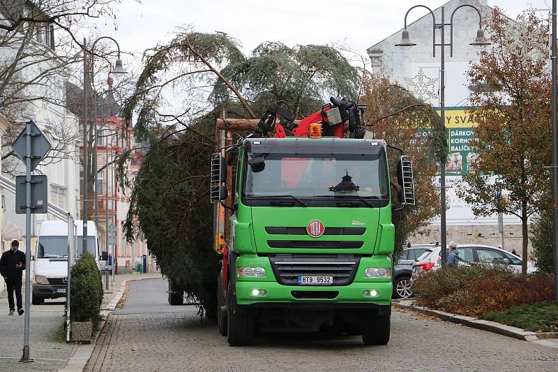 Vánoční strom města Krnova pro rok 2022 je patnáctimetrová jedle, která vyrostla v lese mezi Úvalnem a Lichnovem. Slavnostní rozsvícení proběhne v neděli 27. listopadu 2022 v 16 hodin.
