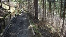 Udělejte si někdy výlet kolem náhonu, který přivádí vodu pro umělý vodopád v Karlově Studánce.