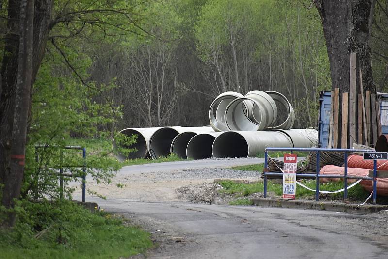 Pérovník pštrosí roste v rezervaci v Kunově díky mlýnskému náhonu, který zde zajišťuje stabilní vlhkost.