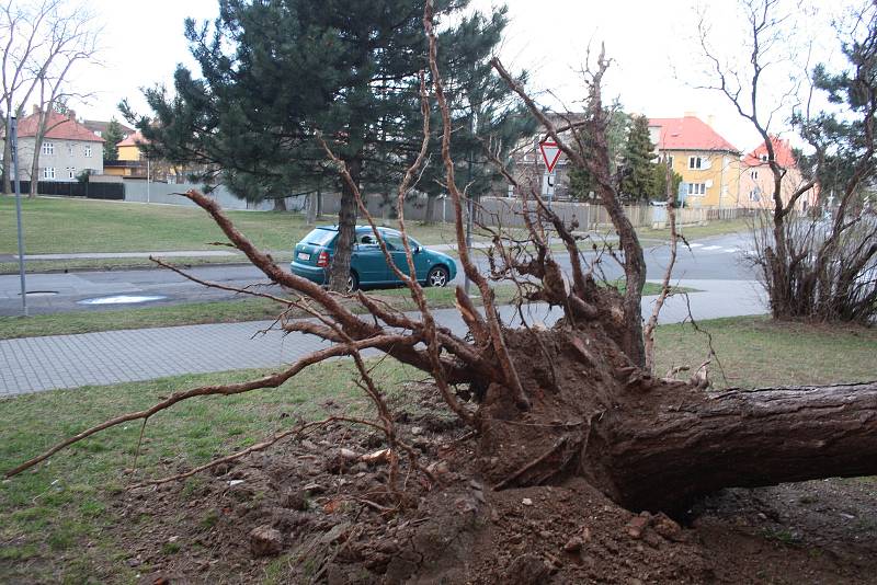 Po noční vichřici zůstaly některé části Krnova bez proudu, například Ježník. Stromy padaly například v Chářovském parku a na sídlišti pod Cvilínem.