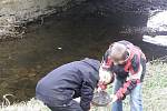 Děti z Břidličné zjišťovaly, zda je potok Polička ve směru na Vajglov znečištěn pesticidy z okolních polí.