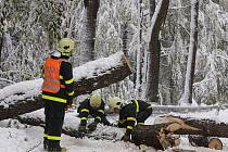 Nečekané přívaly sněhu zablokovaly během čtvrtka 15. října silnice v Jeseníkách a zkomplikovaly dopravu. Hasiči proto museli odstraňovat vyvrácené stromy a spadané větve.