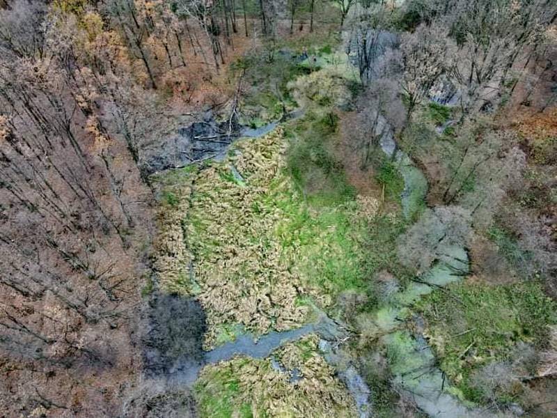 Bobří území kolem Lužné zdokumentoval z výšky pilot dronu Zdenek Caisberger.