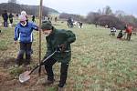 Krnované na bývalé střelnici v Chomýži vysázeli veřejný genofondový sad starých a regionálních odrůd ovoce.