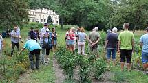 Park albrechtického zámku letos poprvé oživily bylinkové a zeleninové záhony. Alena Křištofová zde návštěvníkům vysvětluje, jaké podoby mohou mít  rajčata. Údiv vyvolávají pichlavá liči rajčata plná ostnů i černé a fialové odrůdy,