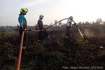Požár dvou hektarů mladého lesního porostu v nepřístupném terénu na okraji Bruntálu.