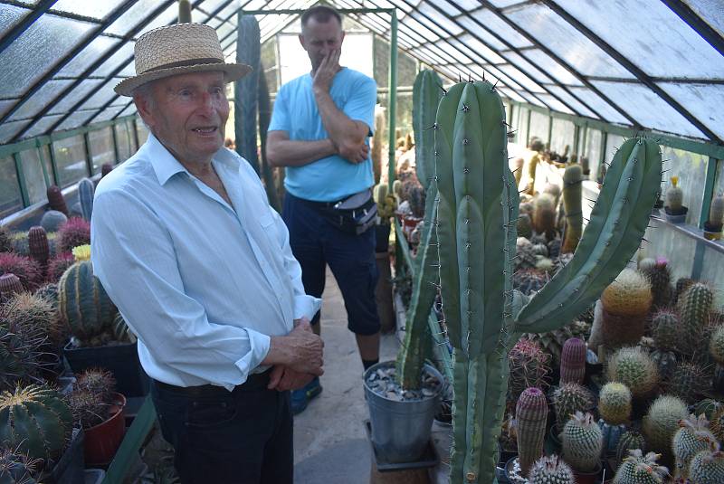 Fascinující sbírka kaktusů Rudolfa Poloka je atrakcí Třemešné.