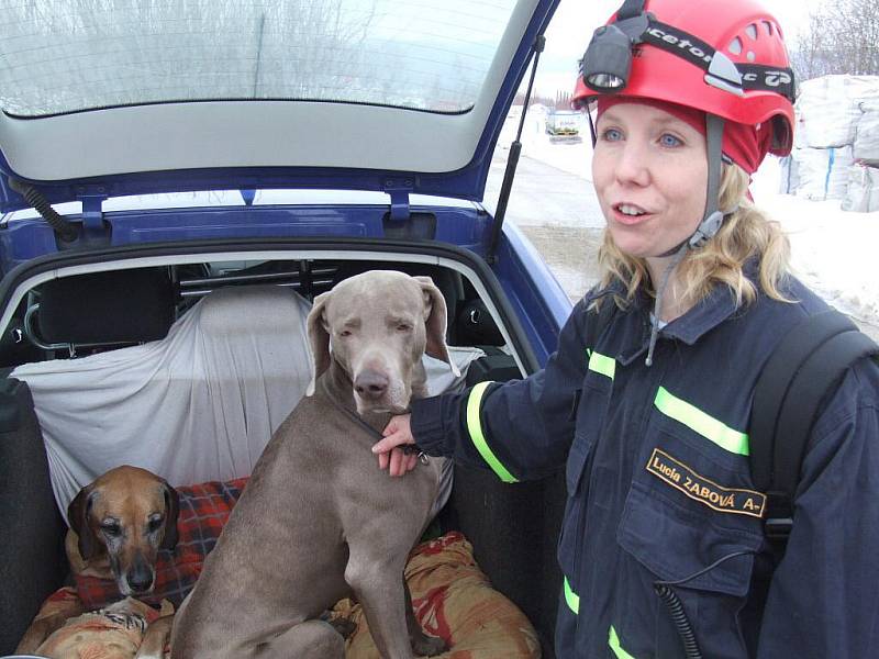 Lucie zabová představila během záchranářské akce v Bruntále nalezeného křížence, jejím svěřencem je i rhodéský ridgeback (na snímku).