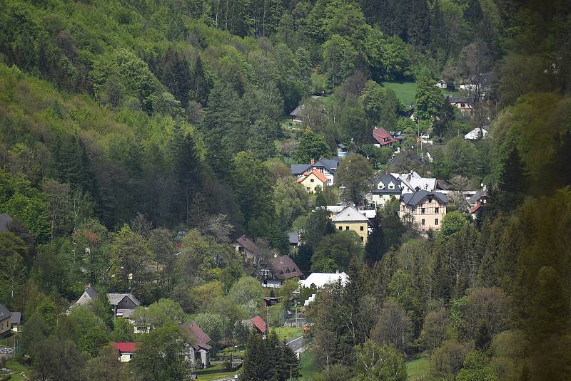 Ludvíkov žije turistickým ruchem. Milovníky Jeseníků sem lákají vyhlídky, skály, lesy a také nabídka různých typů penzionů, hotelů a restaurací.