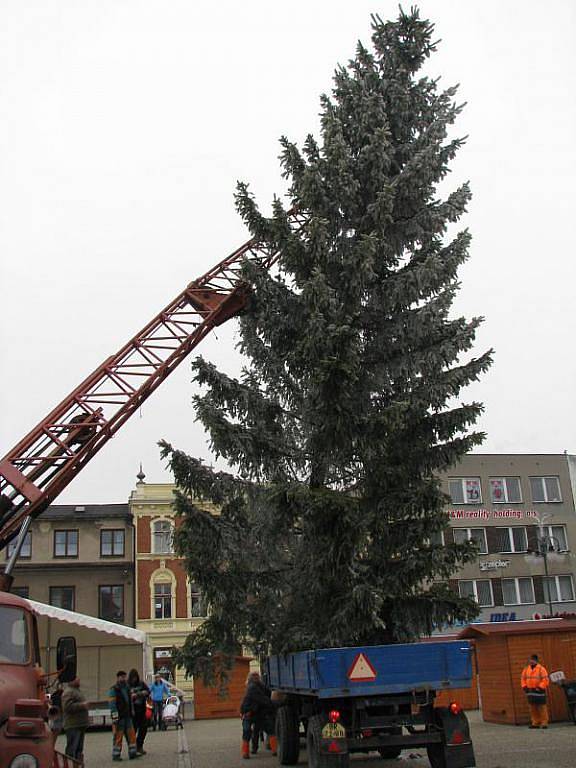 Vánoční strom instalovali na náměstí Míru pracovníci bruntálských technických služeb ve středu před polednem. Strom pochází z městských lesů.