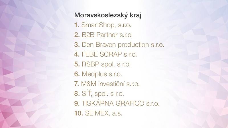 Předání ceny Diamanty českého byznysu se zúčastnil také jednatel Den Braven production s.r.o Miroslav Mohyla.