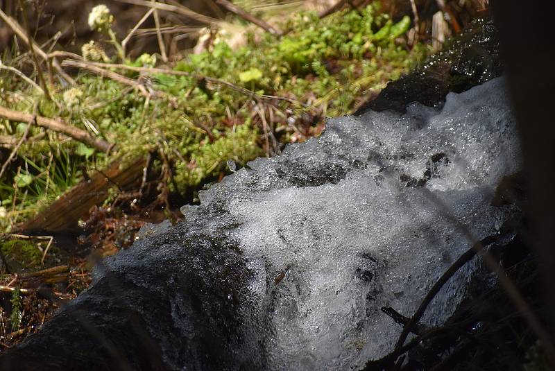 Udělejte si někdy výlet kolem náhonu, který přivádí vodu pro umělý vodopád v Karlově Studánce.