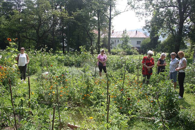 Český svaz ochránců přírody ČSOP Město Albrechtice popularizuje staré odrůdy a pořádá komentované prohlídky zahradnictví v  zámeckém parku v Hynčicích.