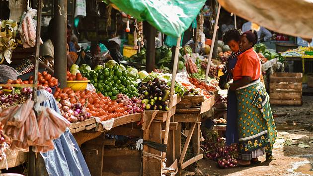 Africké trhy v Krnově nabídnou stejný sortiment jako tržnice v Ugandě -  Moravskoslezský deník