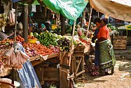 Nakupování na trhu v Ugandě si zamilovala cestovatelka Michaela Kosařová z Krnova. Produkty zemědělců z Ugandy a Tanzánie nabídnou také Africké trhy, které se konají 23.8. na krnovském náměstí.