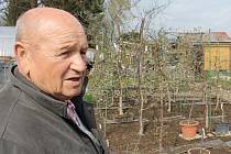 Milan Janošík z Bruntálu u svých raritních třešní, které mají plodit měsíc a půl až dva měsíce. Každá třešeň dá pěstiteli až dvacet kilogramů plodů.