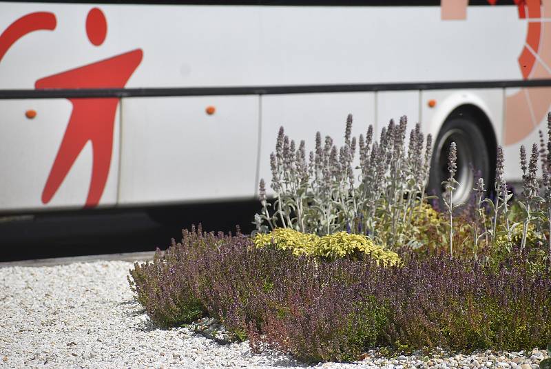 „Jiří Houska medituje na horské louce“ je název sochy, kterou výtvarník  Martin Matela udělal z obyčejného kruhového objezdu vyhlášenou atrakci Vrbna pod Pradědem.