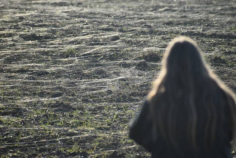 Pavouci plachetnatky jsou tak malí, že je pouhým okem téměř nevidíme. V období babího léta ale jejich vlákna nelze přehlédnout. Snímek zachycuje „babí léto“ na Osoblažsku.