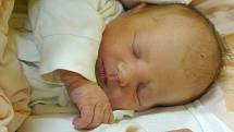 Jmenuji se LUCIA DISORSI, narodila jsem se 1. listopadu, při narození jsem vážila 2730 gramů a měřila 48 centimetrů. Moje maminka se jmenuje Lucie Disorsi a můj tatínek se jmenuje Richard Disorsi. Bydlíme v Krnově.