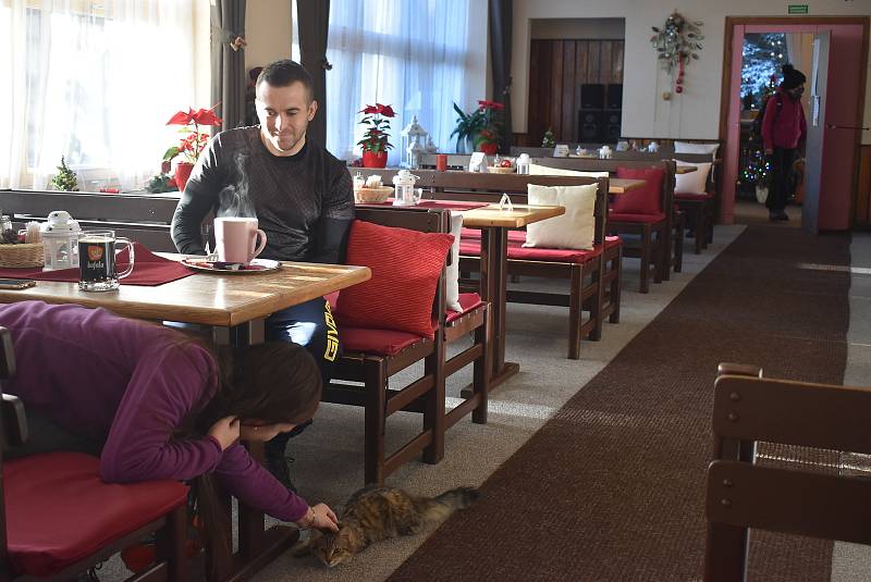 Hostům restaurace Na Hvězdě v Malé Morávce.se věnují kromě personálu také kočičky. Když je podnik zavřený, můžete si je pohladit aspoň na terase.