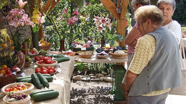 Ještě vloni si přišli na své obdivovatelé bohaté úrody v prostorách Květinky u Zdeňky, letos se pochlubí pěstitelé svou produkcí v areálu bruntálského zámku.