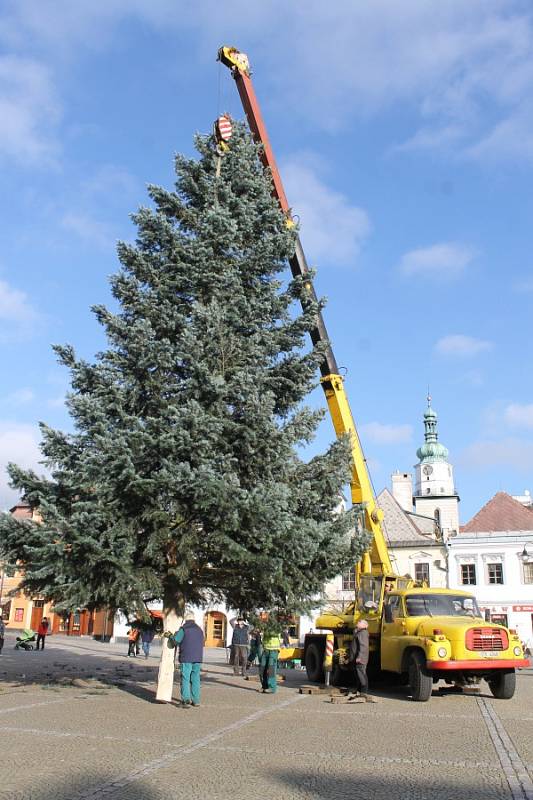 Osazení vánočního stromu na náměstí Míru v Bruntále.