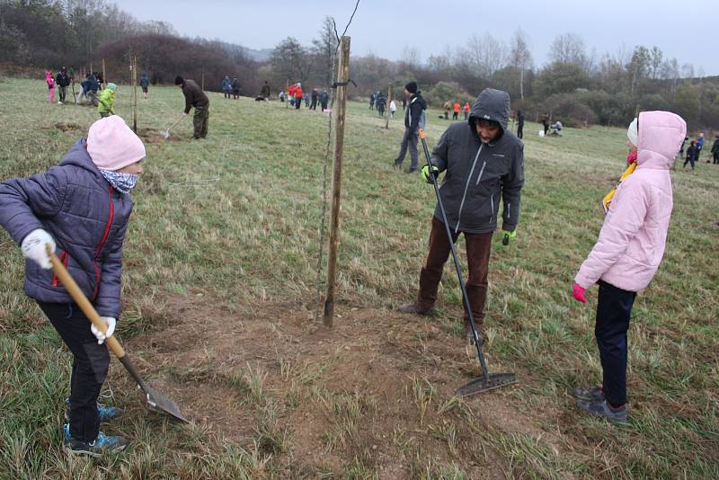 Krnované na bývalé střelnici v Chomýži vysázeli veřejný genofondový sad starých a regionálních odrůd ovoce.