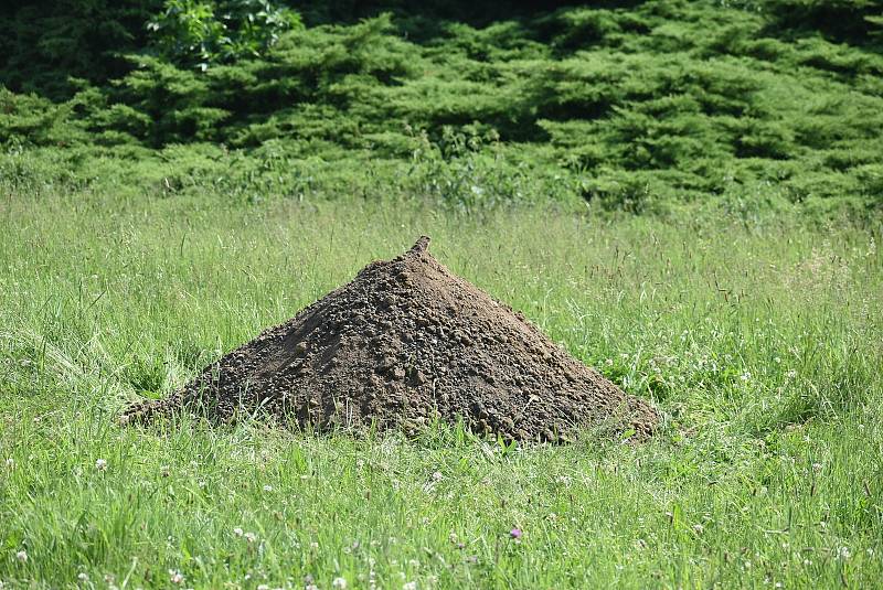 Festival Landscape hravou formou nabízí  Krnovanům zamyšlení nad městem a jeho funkcemi. Veřejné prostory oživily výstavy a umělecké instalace.