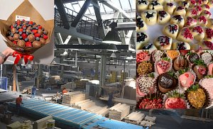 Sladká krása vyhlášené charkovské čokoládovny Tutti Frutti v kontrastu s novým pracovištěm ukrajinských cukrářek v Rýmařově.