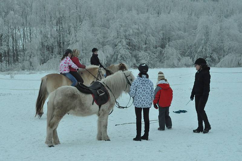 Stáj Láryšov Jany Blažejové nabízí výuku a rekreační ježdění na koních. Obdivovat přírodou ze sedla lze v každém ročním období.