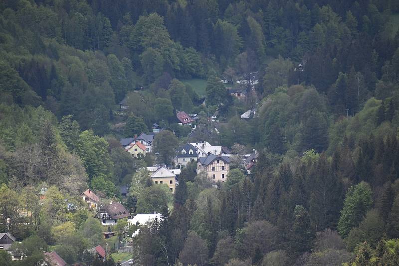 Ludvíkov žije turistickým ruchem. Milovníky Jeseníků sem lákají vyhlídky, skály, lesy a také nabídka různých typů penzionů, hotelů a restaurací.