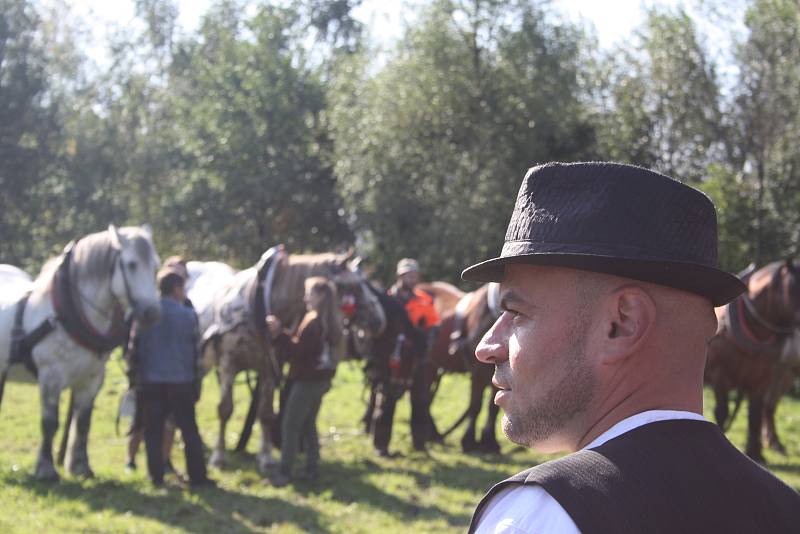 Ctitele koňské krásy čekala  ve Městě Albrechticích podívaná.