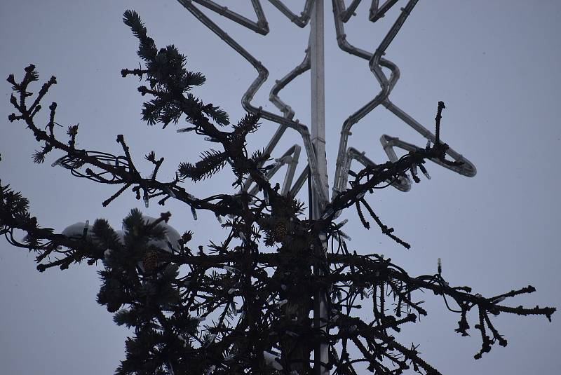 Smrk stříbrný na krnovském náměstí už deset let plní funkci vánočního stromu. Chřadne, a opadává mu jehličí. Vánoce 2021 jsou jeho poslední.