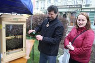 Krnovští včelaři se veřejnosti představili medem, medovinou, živými včelami i ručně malovaným svatým Ambrožem.