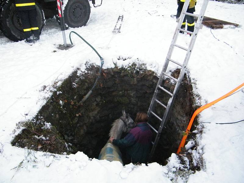 Kůň spadl do čtyři metry hluboké studny. Hasiči použili k vytažení speciální síť a vyprošťovací techniku.