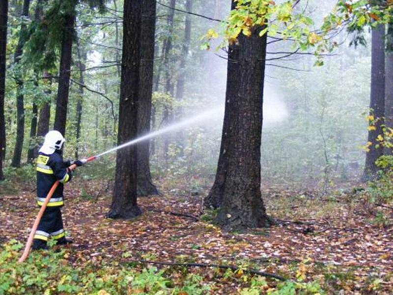 Albrechtičtí hasiči si s polskými kolegy rozumí, nedávno společně absolvovali nácvik hašení lesního požáru. Obě jednotky získají díky mezinárodní spolupráci nová vozidla.