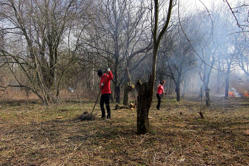 Spolek Slezské odrůdy zkoumá, jaké ovoce se pěstovalo na Krnovsku v minulosti.