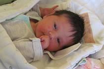 Jmenuji se NELA ŽABOVÁ, narodila jsem se 14. Března 2019, při narození jsem vážila 4 700 gramů a měřila 50 centimetrů. Vrbno pod Pradědem