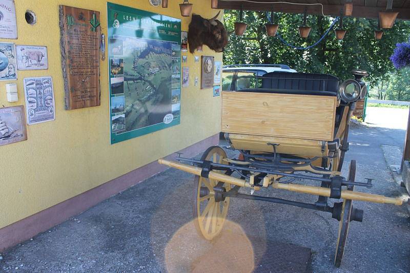 Jen čtyři kilometry od Holčovic směrem na Karlovice najdou lidé pravé africké muzeum. Přestože se jedná o muzeum africké, uvidíte zvířata celého světa. Ulovil je majitel zdejší farmy Jiří Čížek se svými přáteli při toulkách Afrikou i jinými kontinenty.