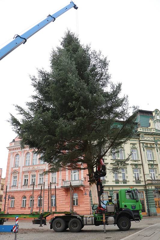 Vánoční strom města Krnova pro rok 2022 je patnáctimetrová jedle, která vyrostla v lese mezi Úvalnem a Lichnovem. Slavnostní rozsvícení proběhne v neděli 27. listopadu 2022 v 16 hodin.