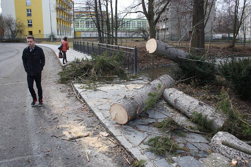 Vítr shazoval elektrické vedení a vyvracel stromy také v Bruntálu. Nejhůř byly zasažený Městský park. Největší lípa se vyvrátila přes plot na hospodu Roští.